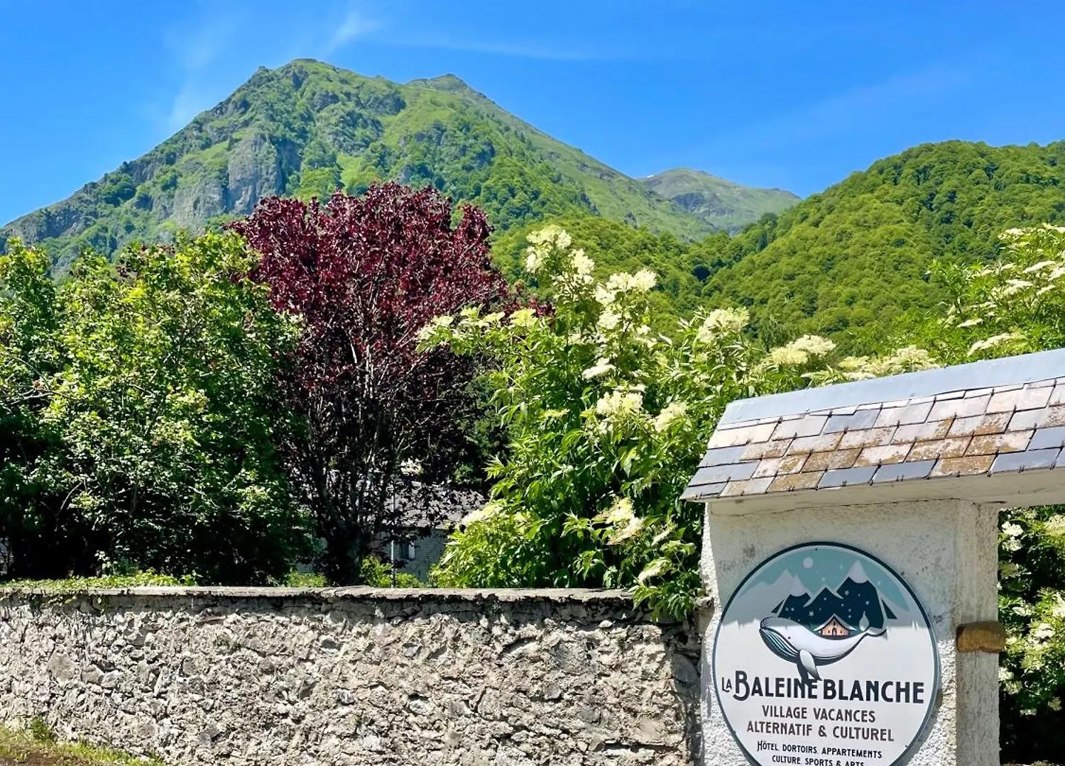 La Baleine Blanche - Hostel Campan